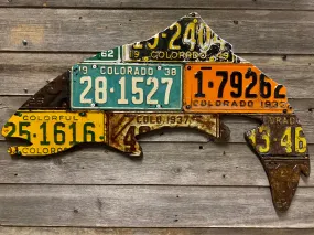 Colorado Antique Trout License Plate Art