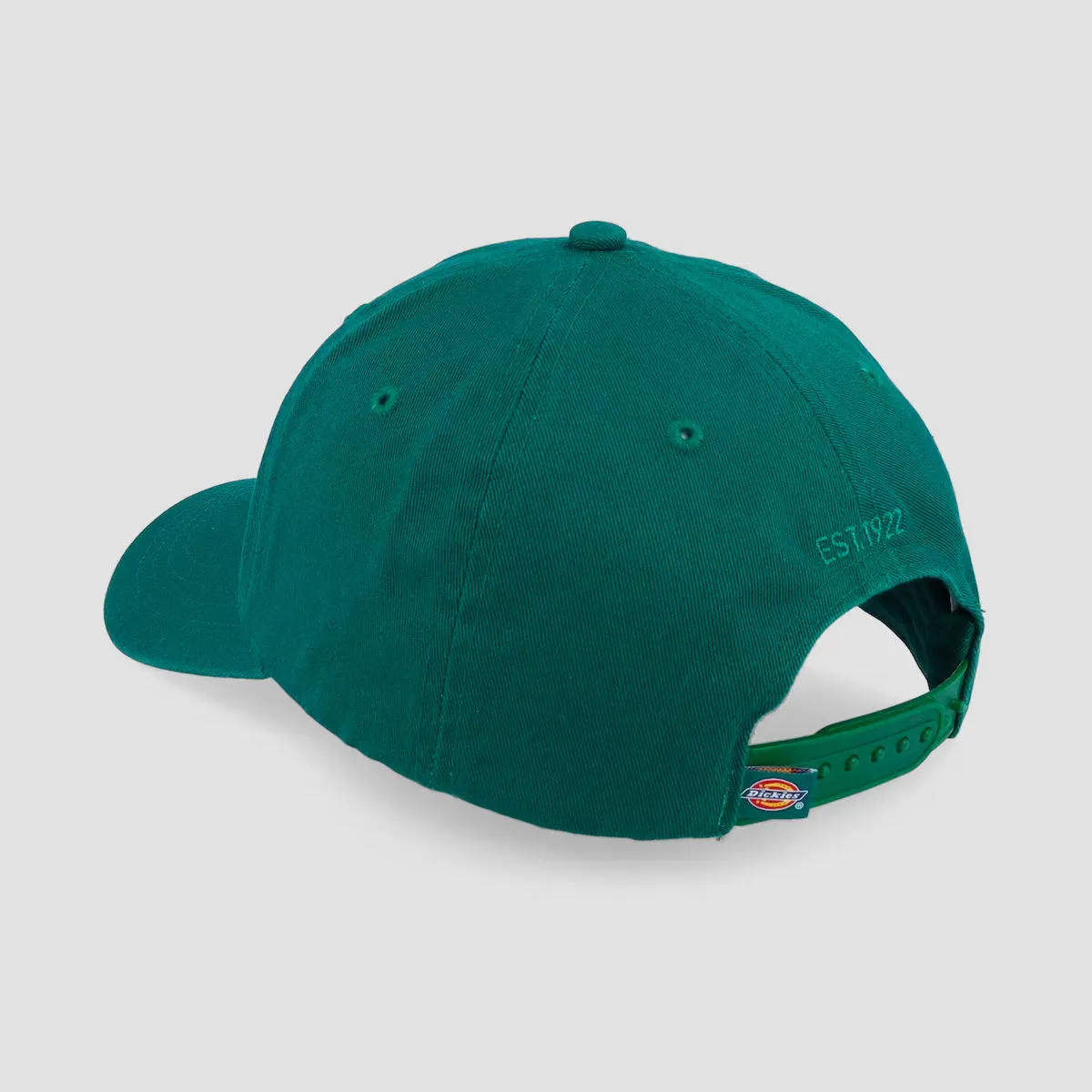 Dickies Hardwick Cap Aventurine